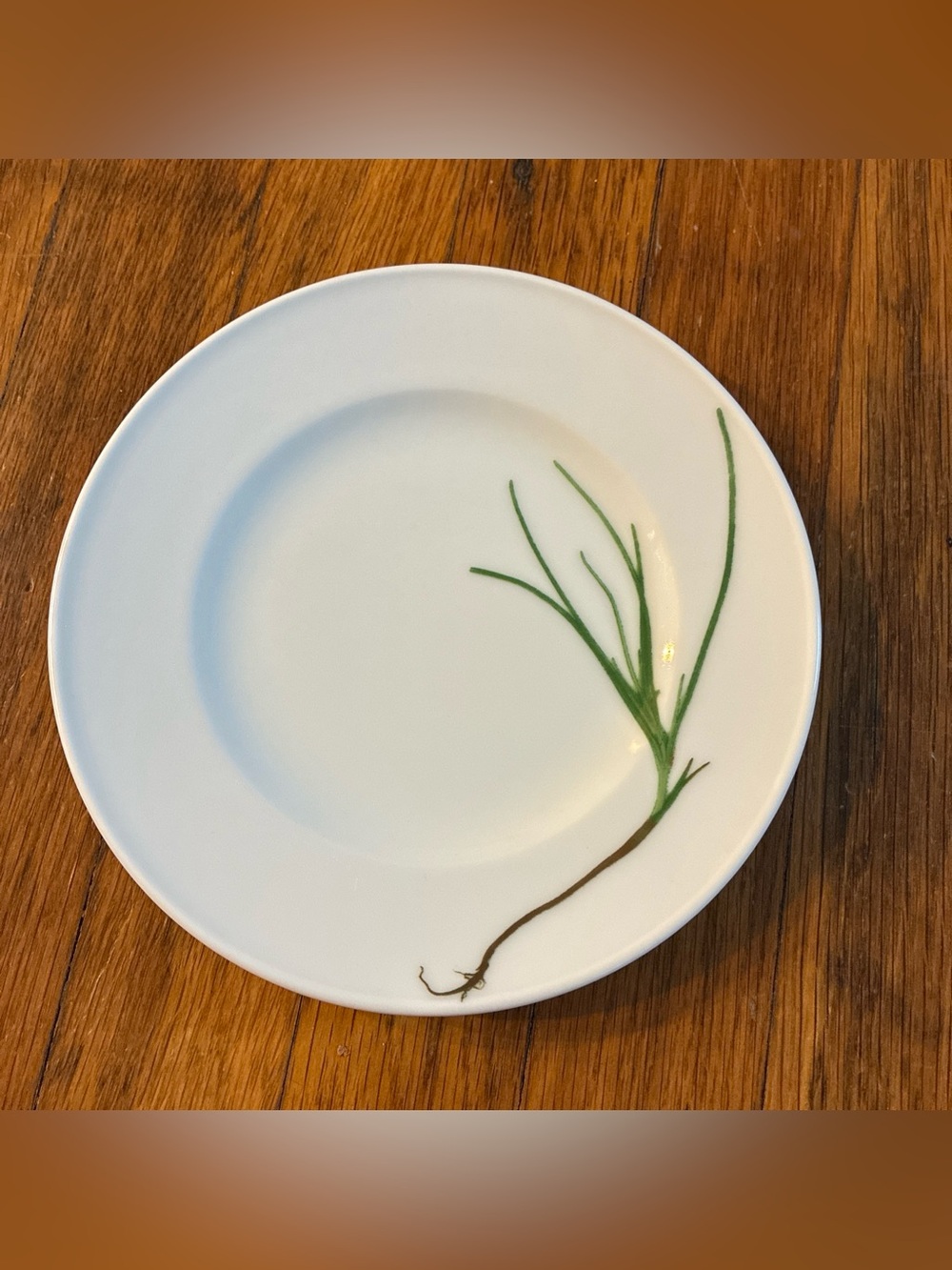 Dibbern Collection Schönwald Herbaticum Salad 7.5" Plate Chives